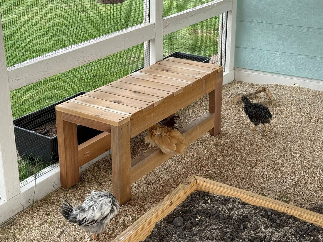 DIY Bench for the Chicken Coop