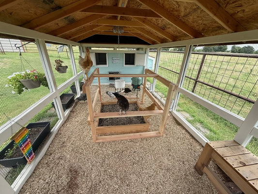 When the Coop Gets a Swing: Fun from Our Flock