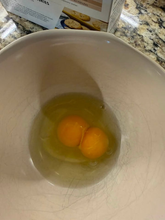Morning Muffins with Backyard Eggs from Our Chickens