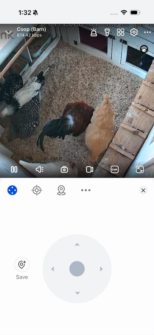 Coop Cleaning Day: Fresh Bedding and Happy Chickens