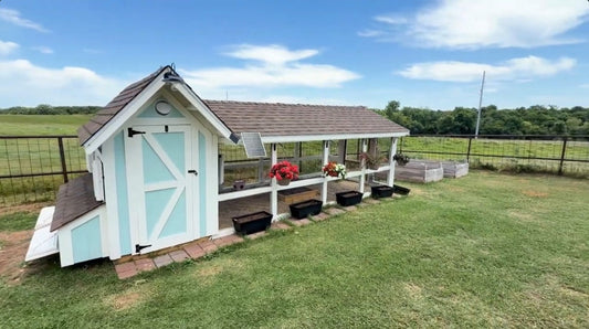The Chicken Coop is Finally Finished (Mostly)